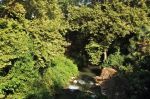 veria photo