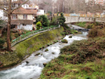 veria photo